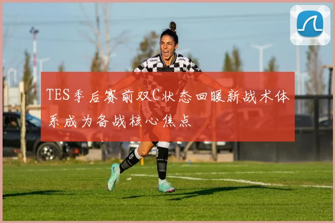 TES季后赛前双C状态回暖新战术体系成为备战核心焦点