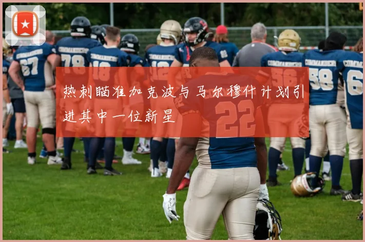 热刺瞄准加克波与马尔穆什计划引进其中一位新星